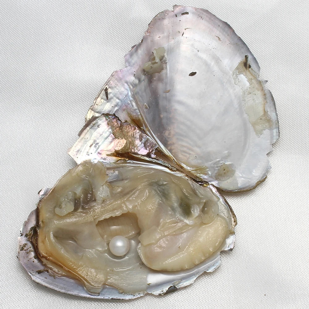 Freshwater Pearl Beads Vacuum Pack Oyster 10 Pcs