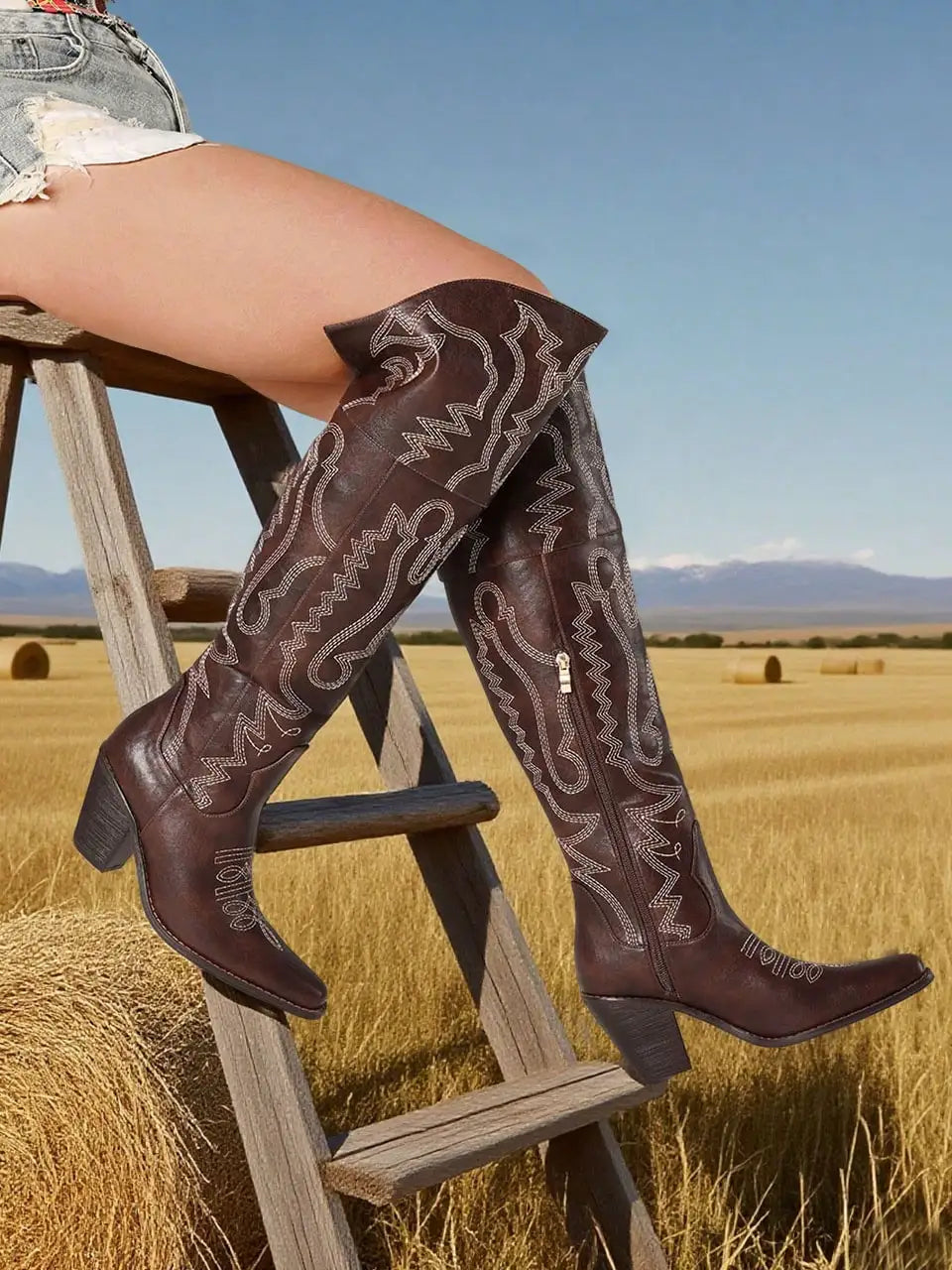Women's Western Thigh High Boots Point Toe Vintage