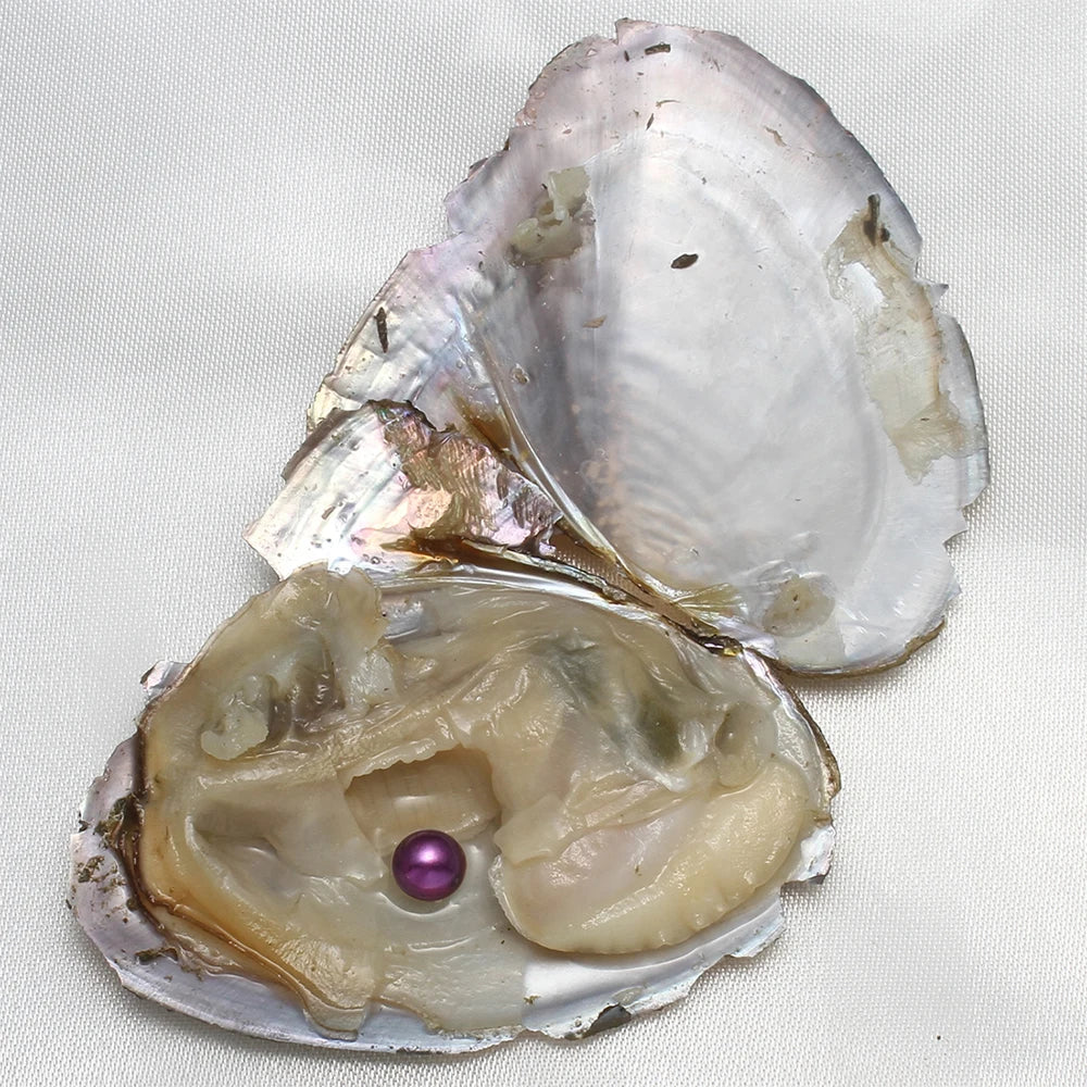 Freshwater Pearl Beads Vacuum Pack Oyster 10 Pcs