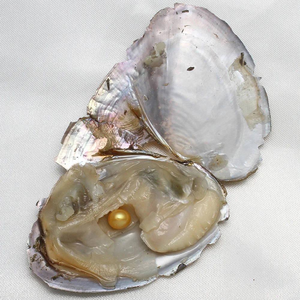 Freshwater Pearl Beads Vacuum Pack Oyster 10 Pcs